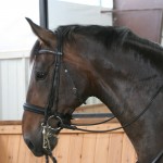 IMG_0589 IMG_0589