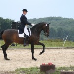 IMG_0594 IMG_0594