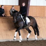 IMG_0642 IMG_0642