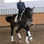 IMG_0691 IMG_0691