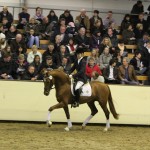 Finny5